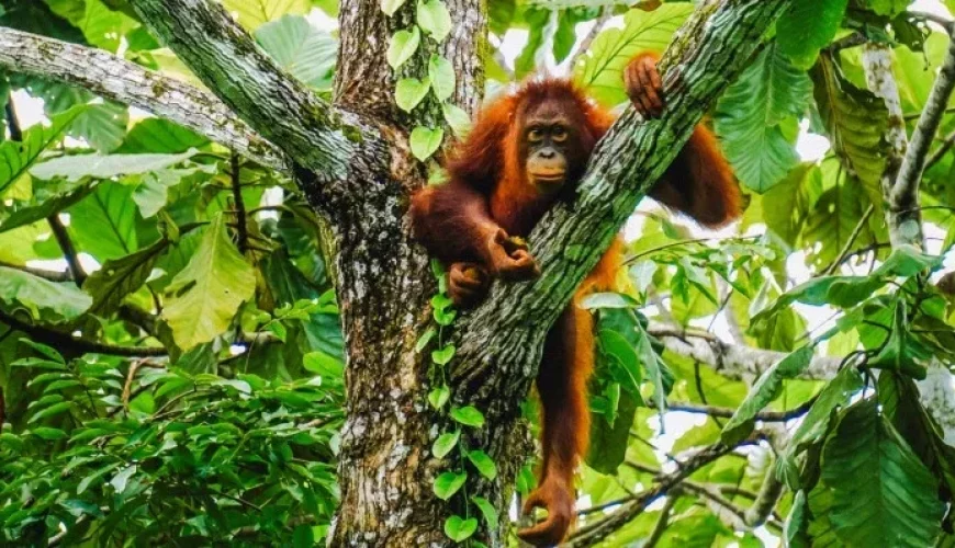 Weltweite Abenteuer-Reisen & Backpacking-Touren