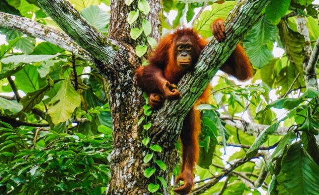 Weltweite Abenteuer-Reisen & Backpacking-Touren