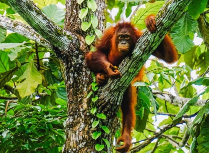 Weltweite Abenteuer-Reisen & Backpacking-Touren