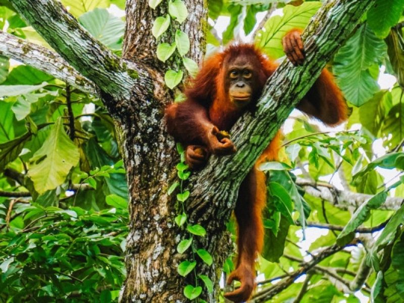 Weltweite Abenteuer-Reisen & Backpacking-Touren