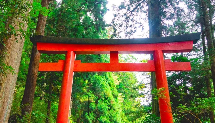 Weltweite Abenteuer-Reisen & Backpacking-Touren