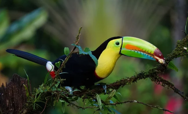 Worldwide adventure travel & backpacking tours