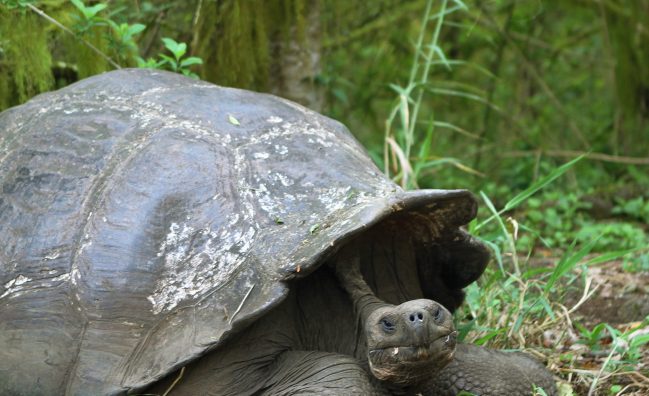 Worldwide adventure travel & backpacking tours