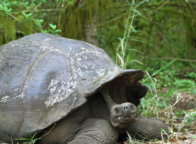 Weltweite Abenteuer-Reisen & Backpacking-Touren