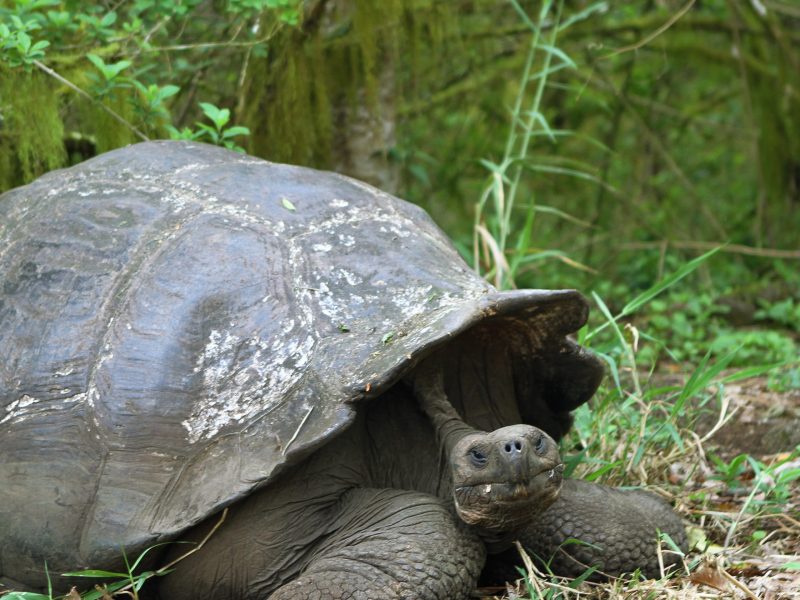 Worldwide adventure travel & backpacking tours