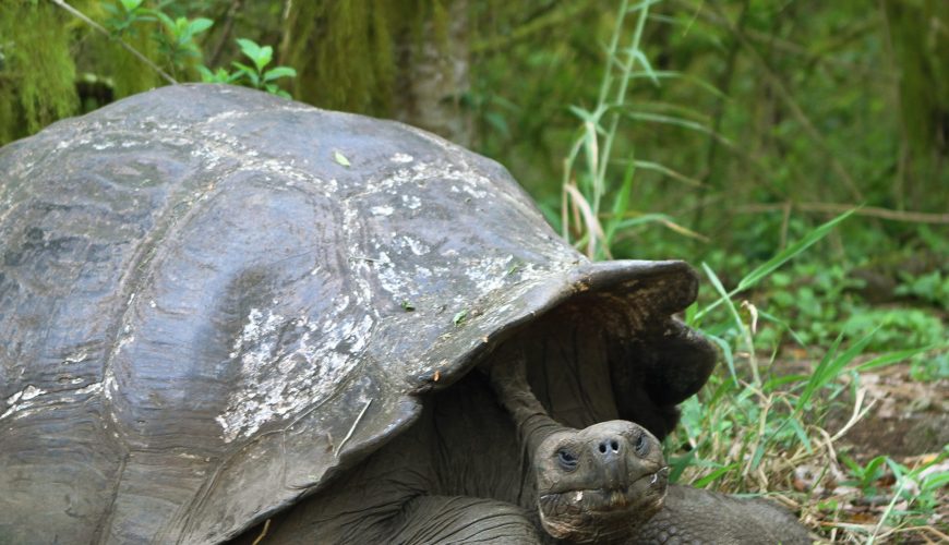 Weltweite Abenteuer-Reisen & Backpacking-Touren