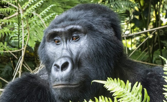 Weltweite Abenteuer-Reisen & Backpacking-Touren