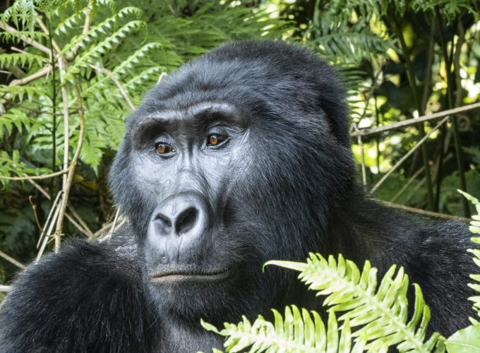 Weltweite Abenteuer-Reisen & Backpacking-Touren