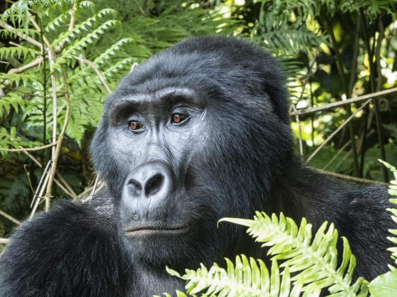 Worldwide adventure travel & backpacking tours