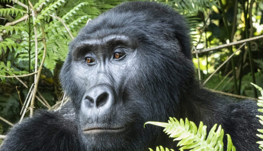 Weltweite Abenteuer-Reisen & Backpacking-Touren