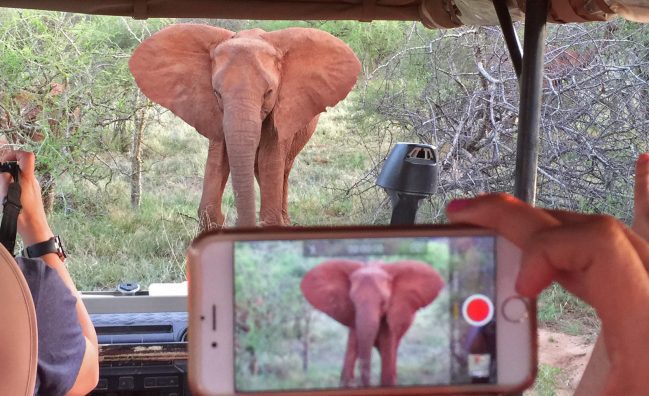 Weltweite Abenteuer-Reisen & Backpacking-Touren