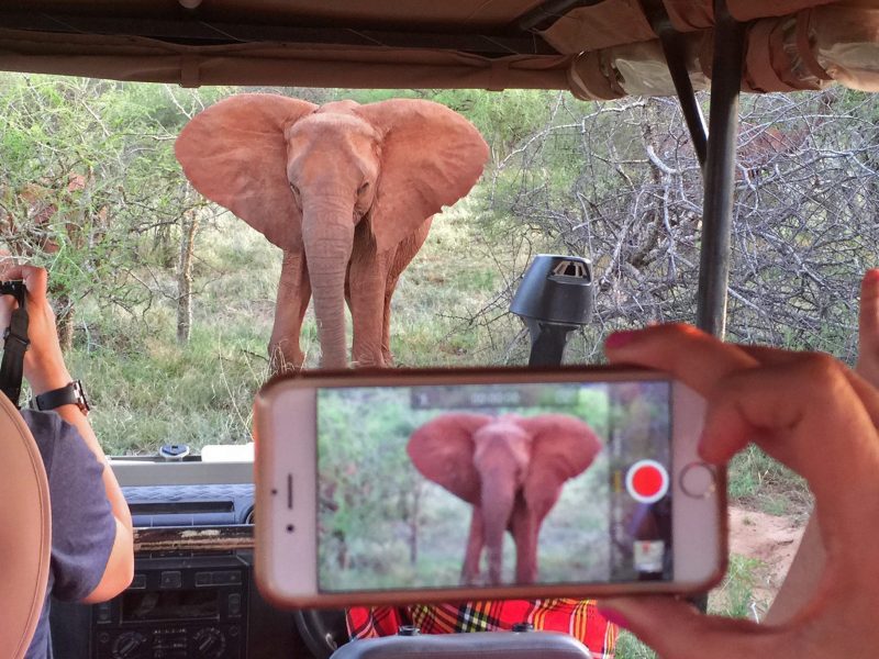 Worldwide adventure travel & backpacking tours