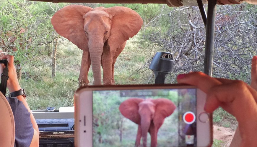 Weltweite Abenteuer-Reisen & Backpacking-Touren